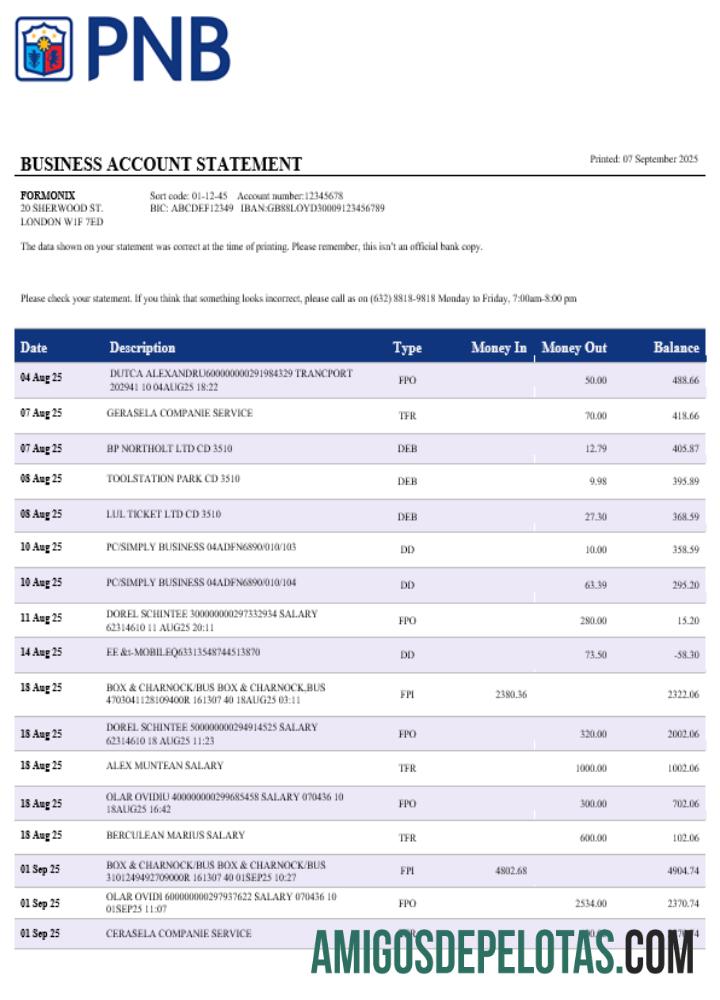 Realista PNB Bank Extrato de conta comercial modelo Word e PDF